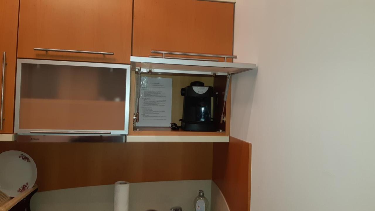 Apartament Zoya + Garaz Krynica Zdroj Luaran gambar