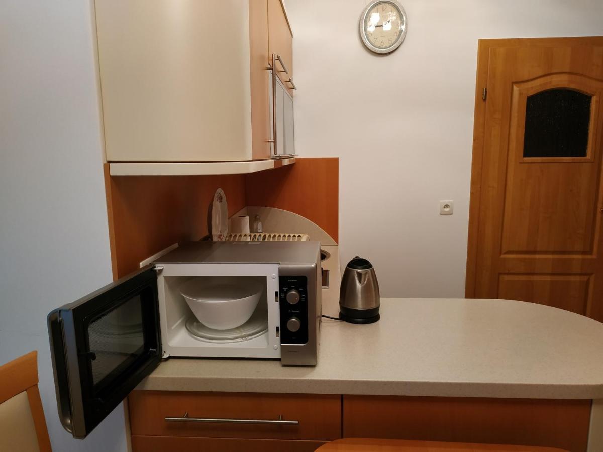 Apartament Zoya + Garaz Krynica Zdroj Luaran gambar