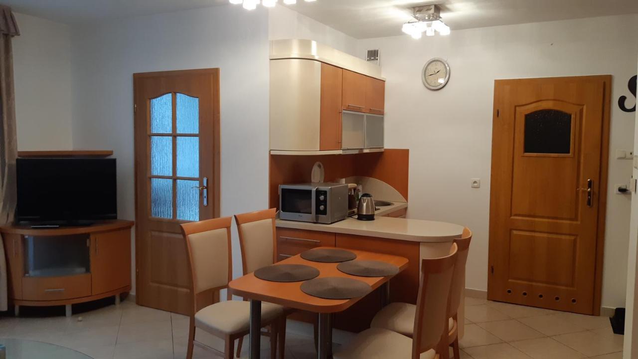 Apartament Zoya + Garaz Krynica Zdroj Luaran gambar