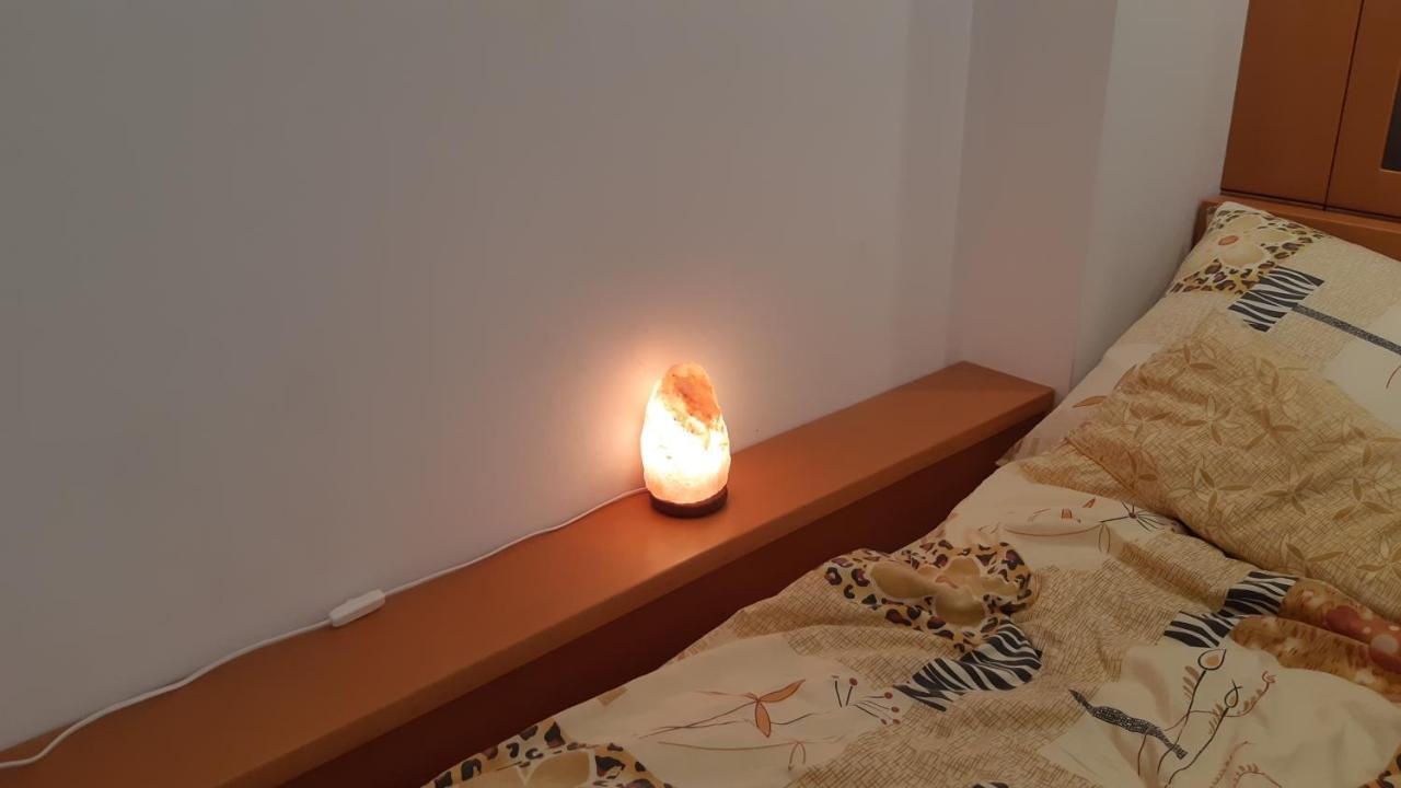 Apartament Zoya + Garaz Krynica Zdroj Luaran gambar
