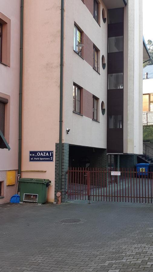 Apartament Zoya + Garaz Krynica Zdroj Luaran gambar